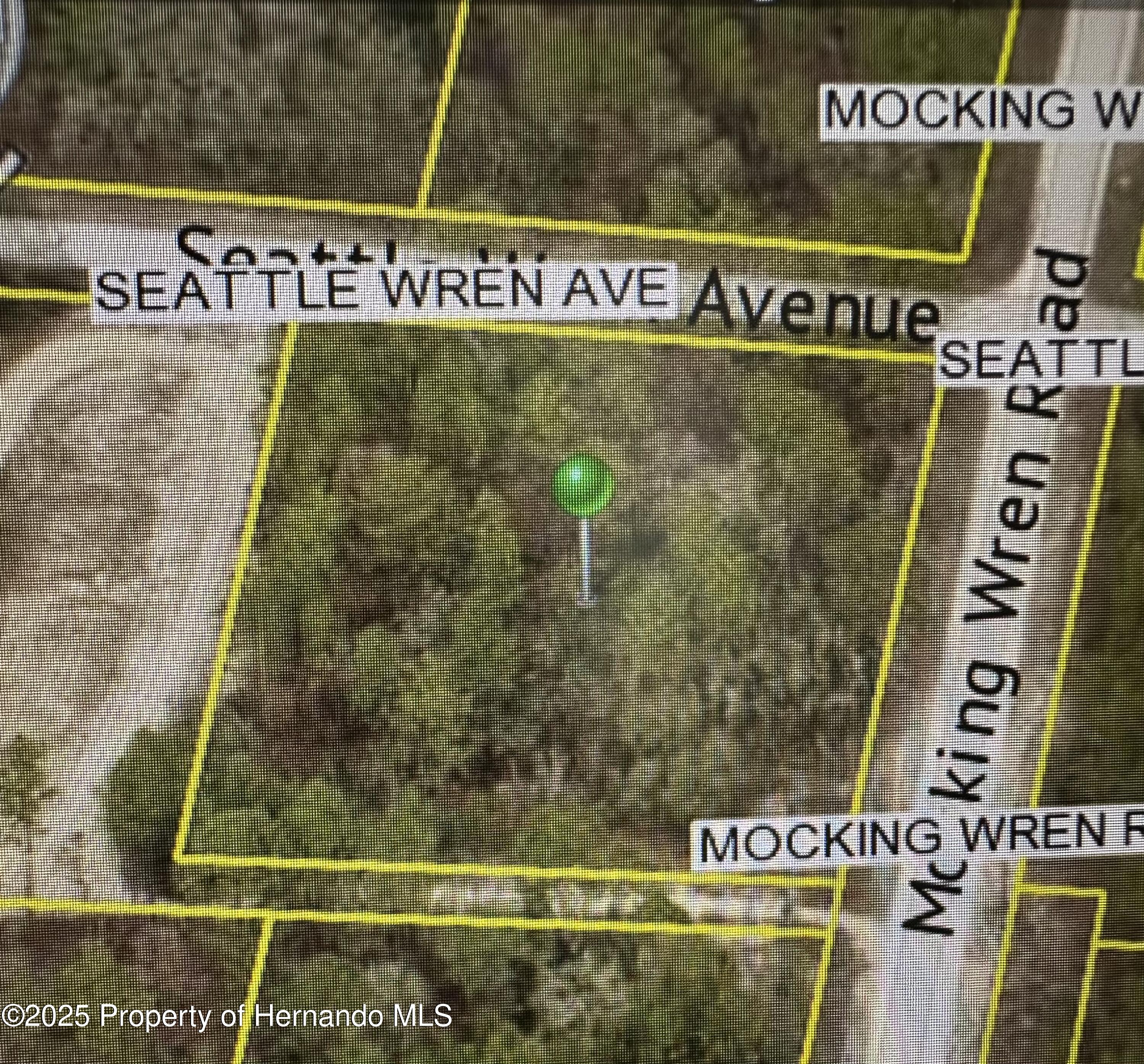 Seattle Wren Avenue, Weeki Wachee, Florida image 1