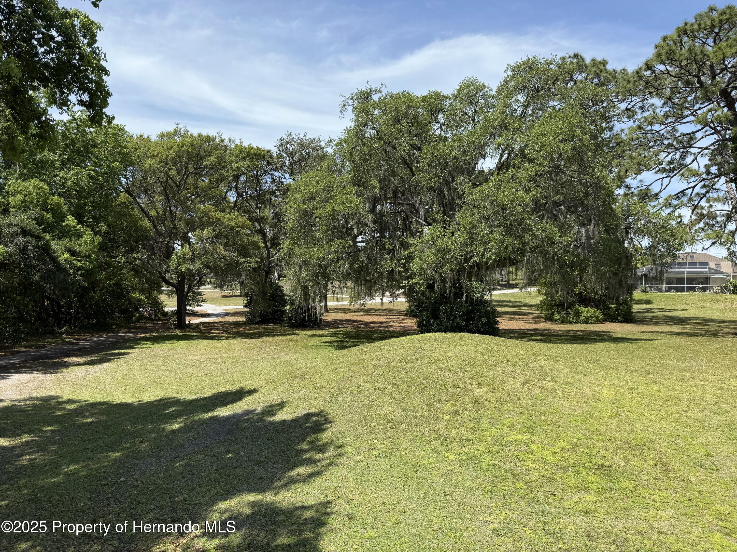Loretto Street, Spring Hill, Florida image 4