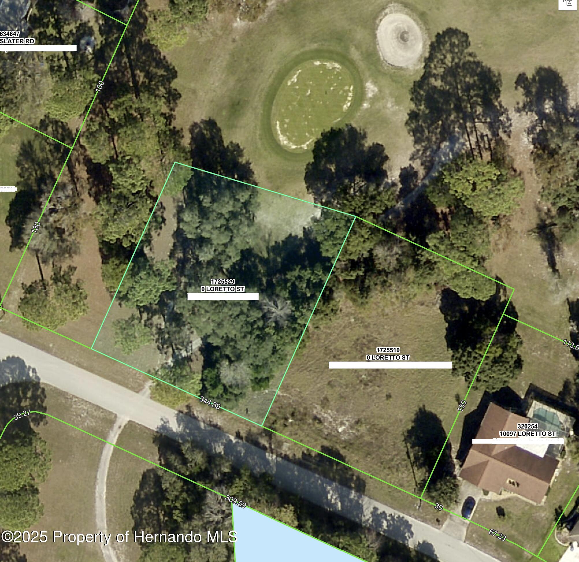 Loretto Street, Spring Hill, Florida image 5