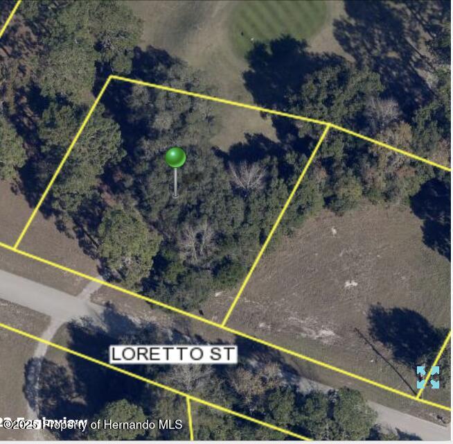 Loretto Street, Spring Hill, Florida image 6