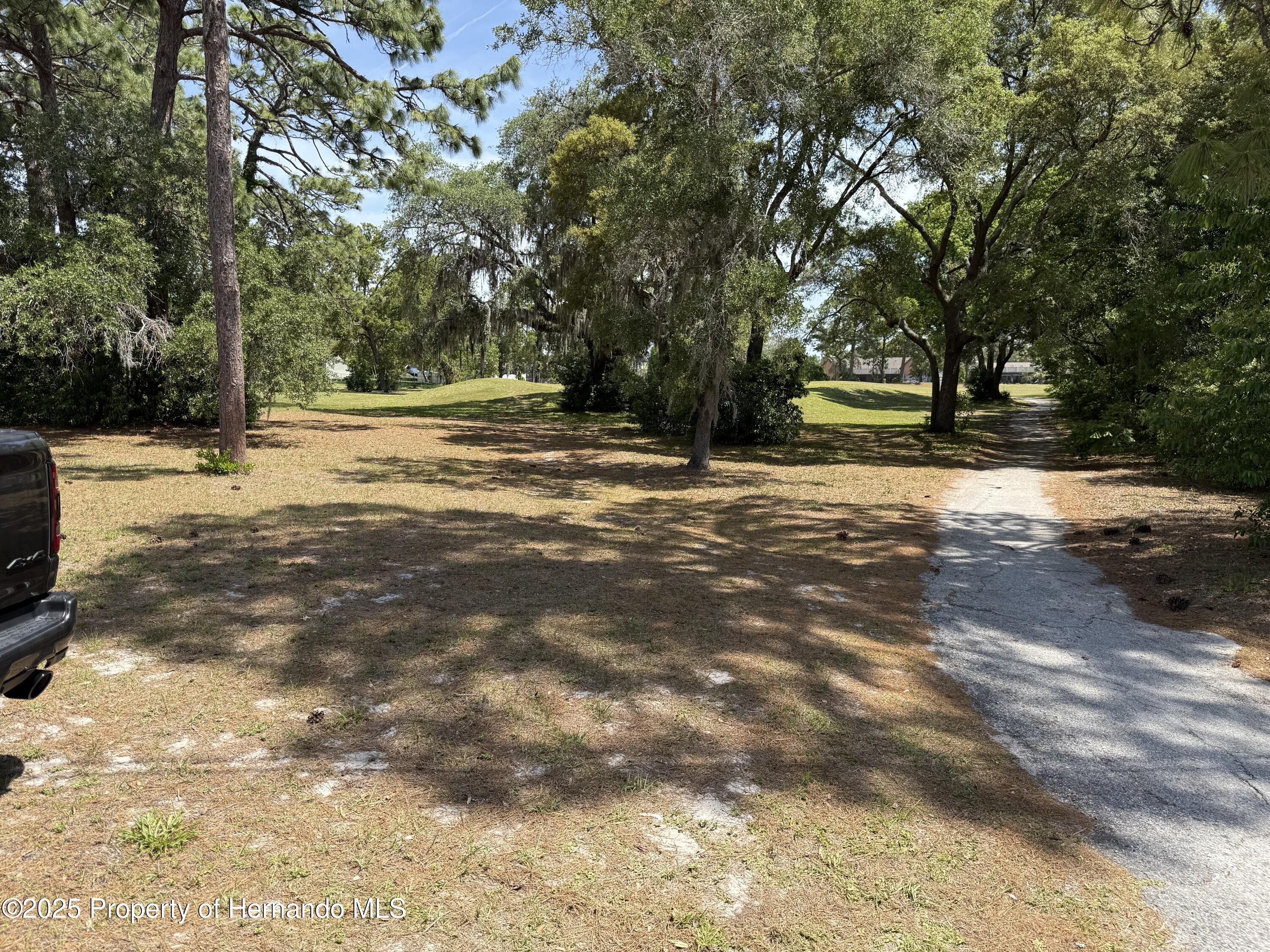 Loretto Street, Spring Hill, Florida image 2