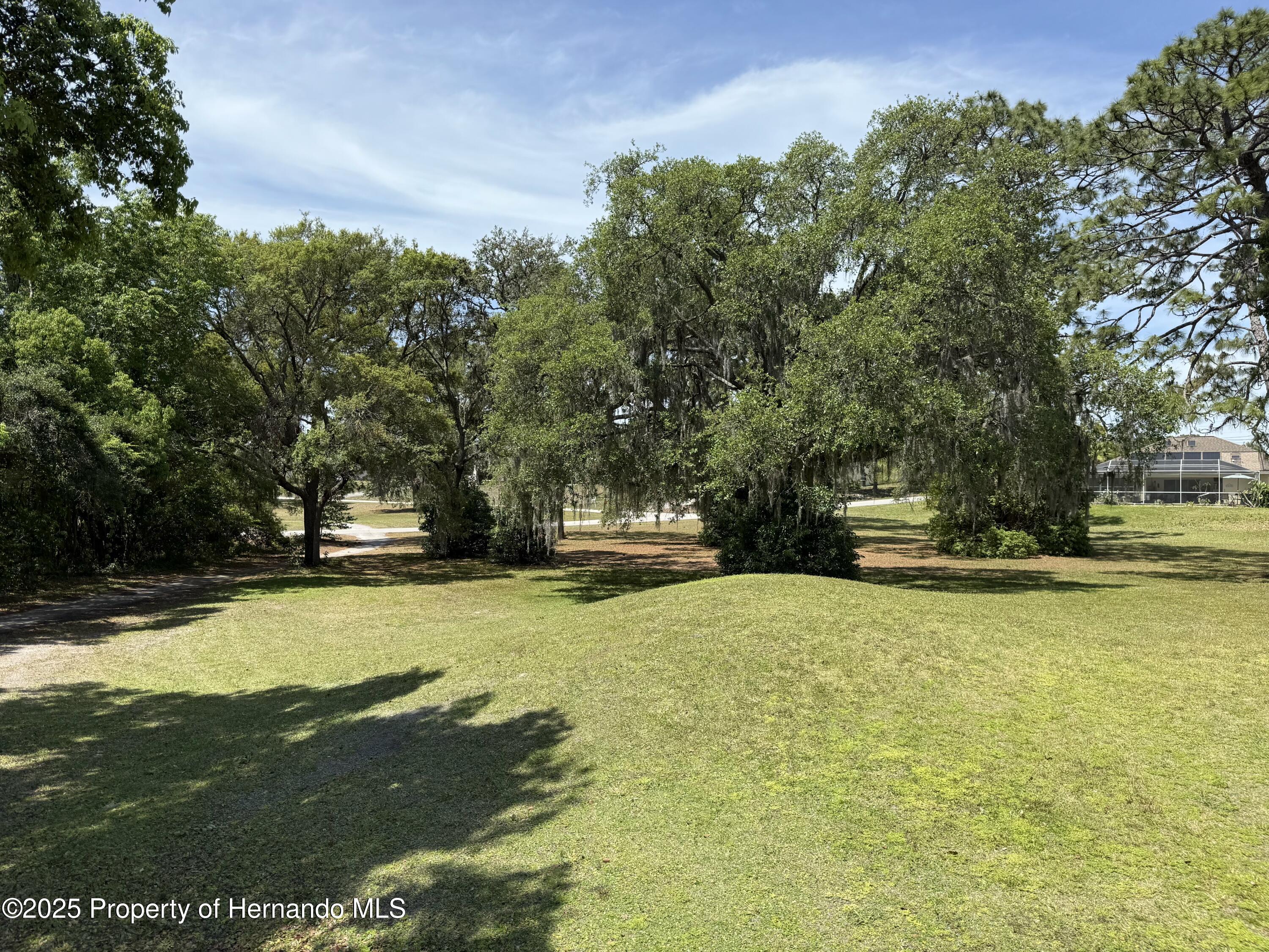 Loretto Street, Spring Hill, Florida image 1