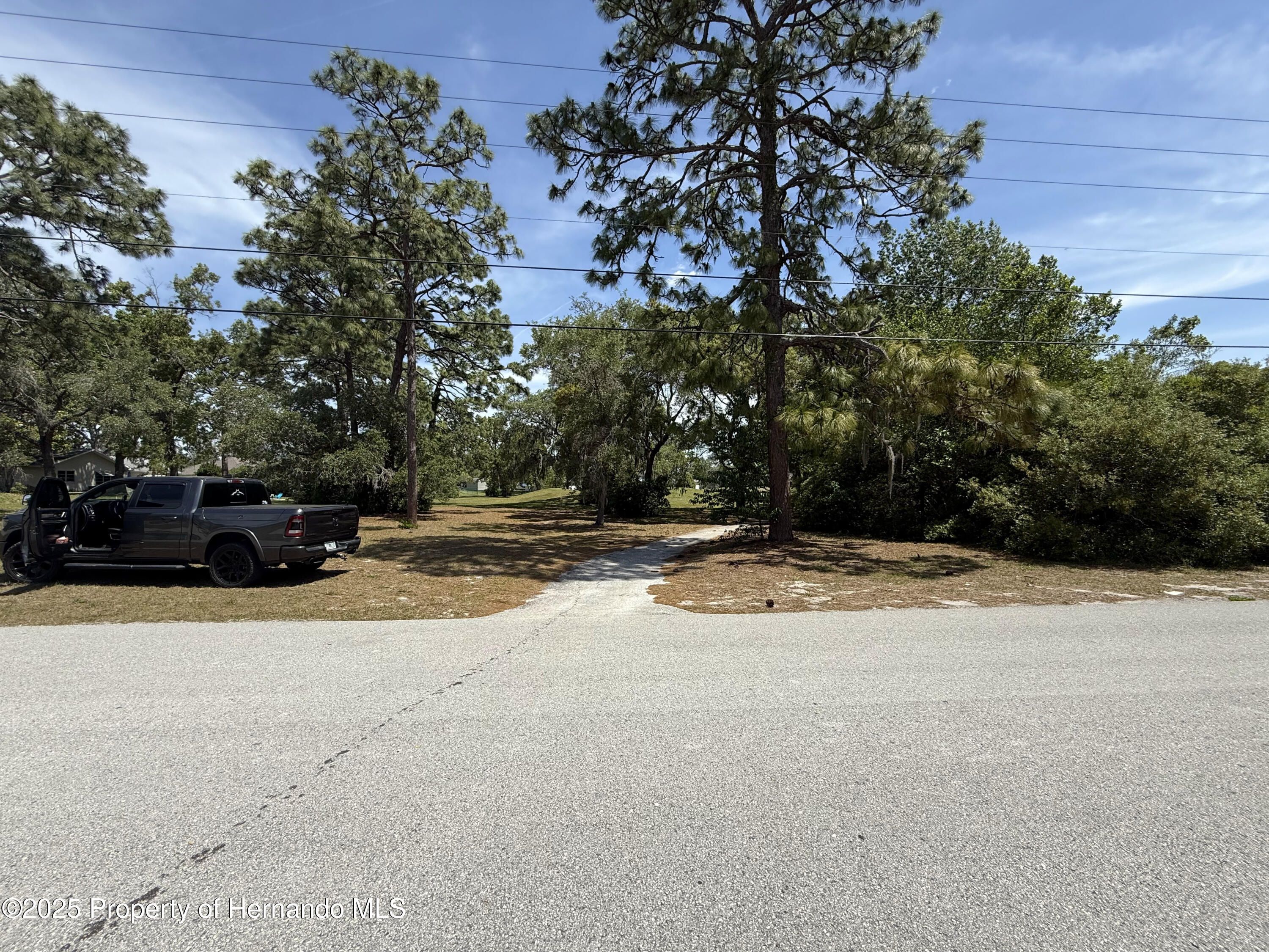 Loretto Street, Spring Hill, Florida image 3