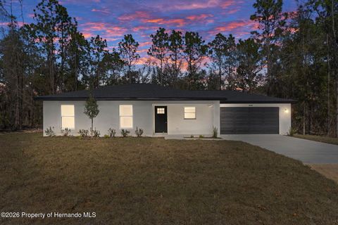 Homes For Sale - 14197 Red Marlin Avenue<br/> Brooksville, FL 34614