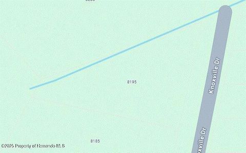 Vacant Land For Sale - Knoxville Drive<br/> Ridge Manor, FL 33597
