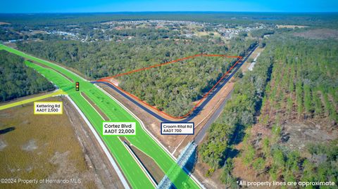 Vacant Land For Sale - Croom Rital Road<br/> Brooksville, FL 34602