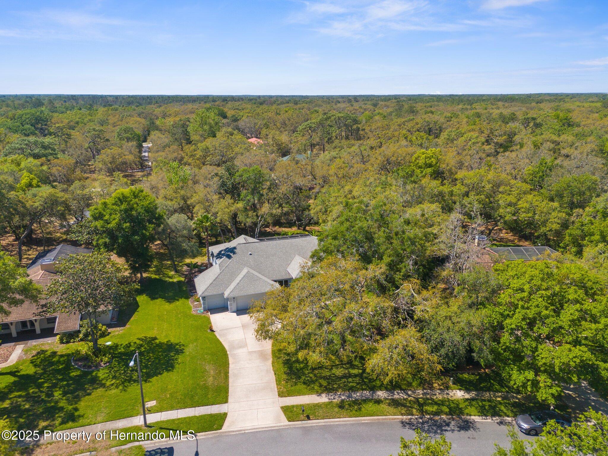 18663 Autumn Lake Boulevard, Hudson, Florida image 3