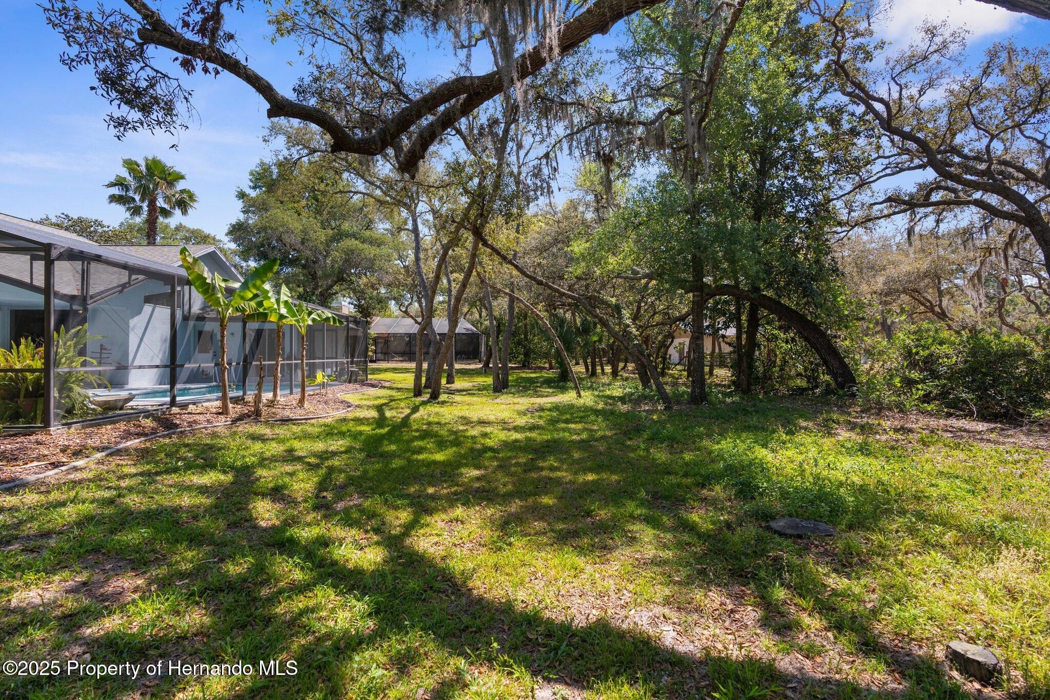 18663 Autumn Lake Boulevard, Hudson, Florida image 44