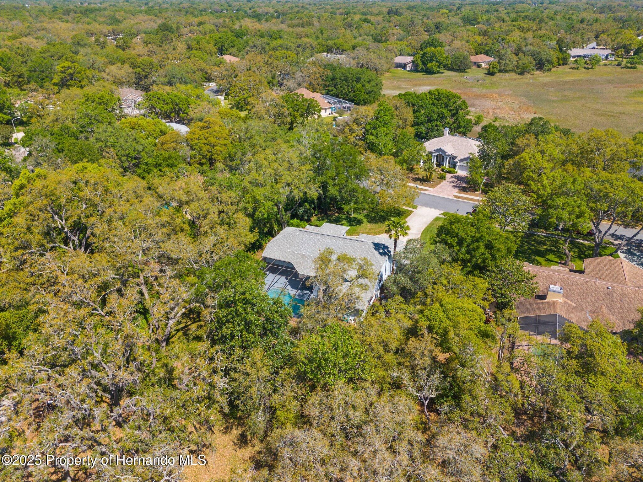18663 Autumn Lake Boulevard, Hudson, Florida image 42