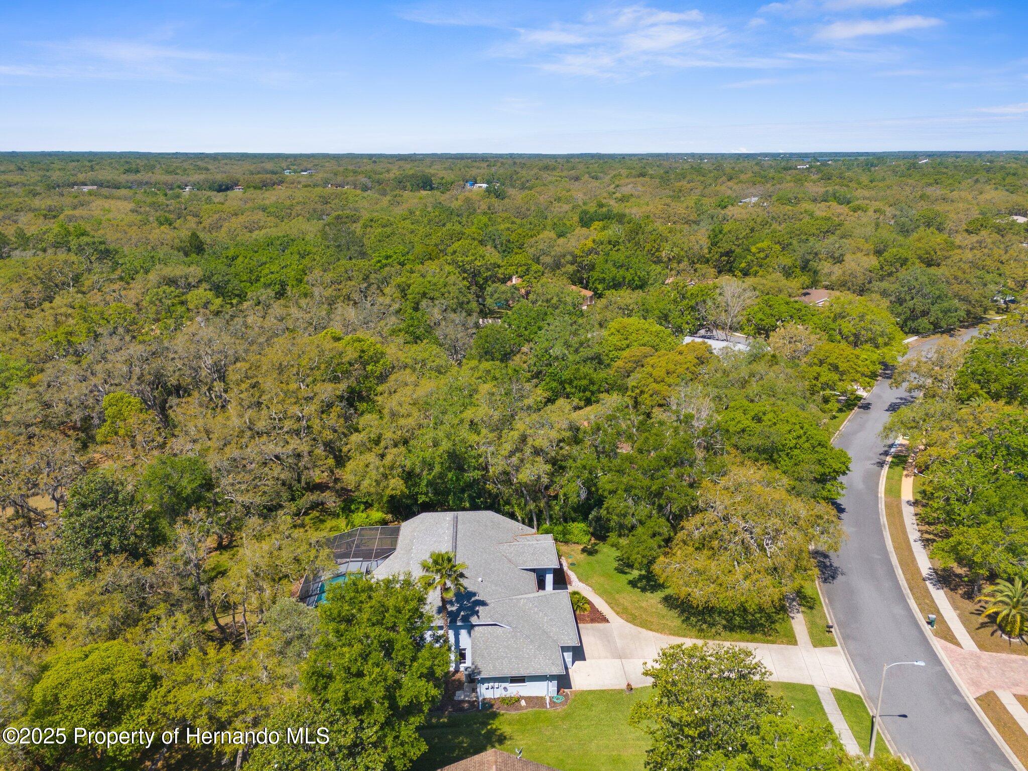 18663 Autumn Lake Boulevard, Hudson, Florida image 40