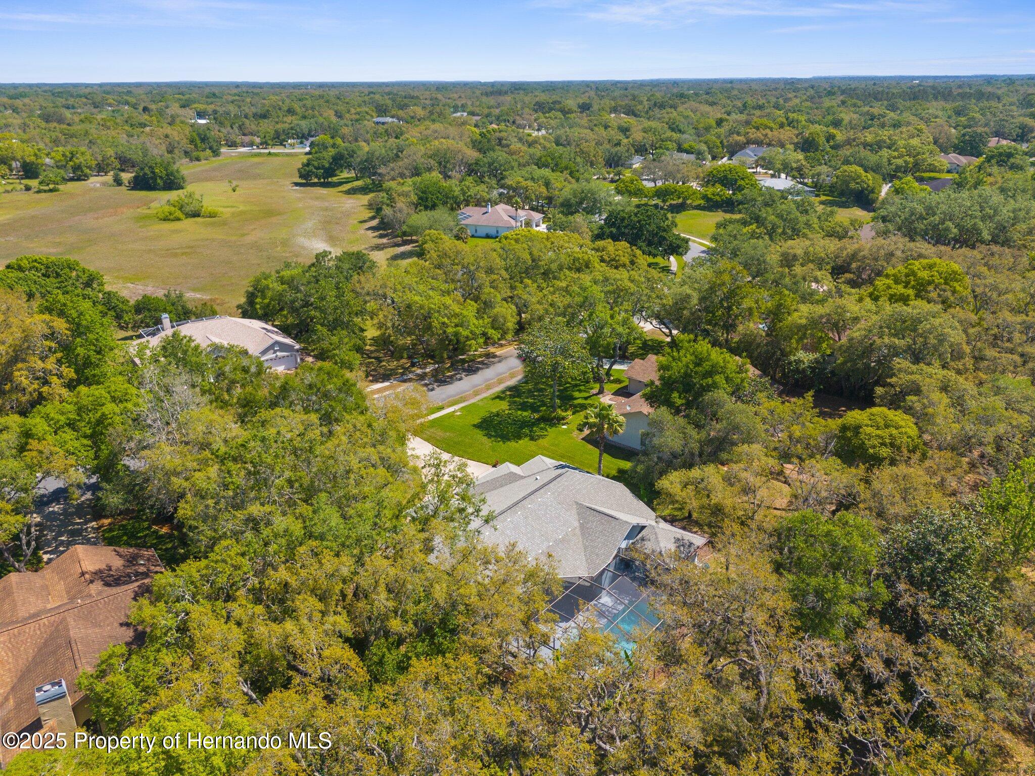 18663 Autumn Lake Boulevard, Hudson, Florida image 6