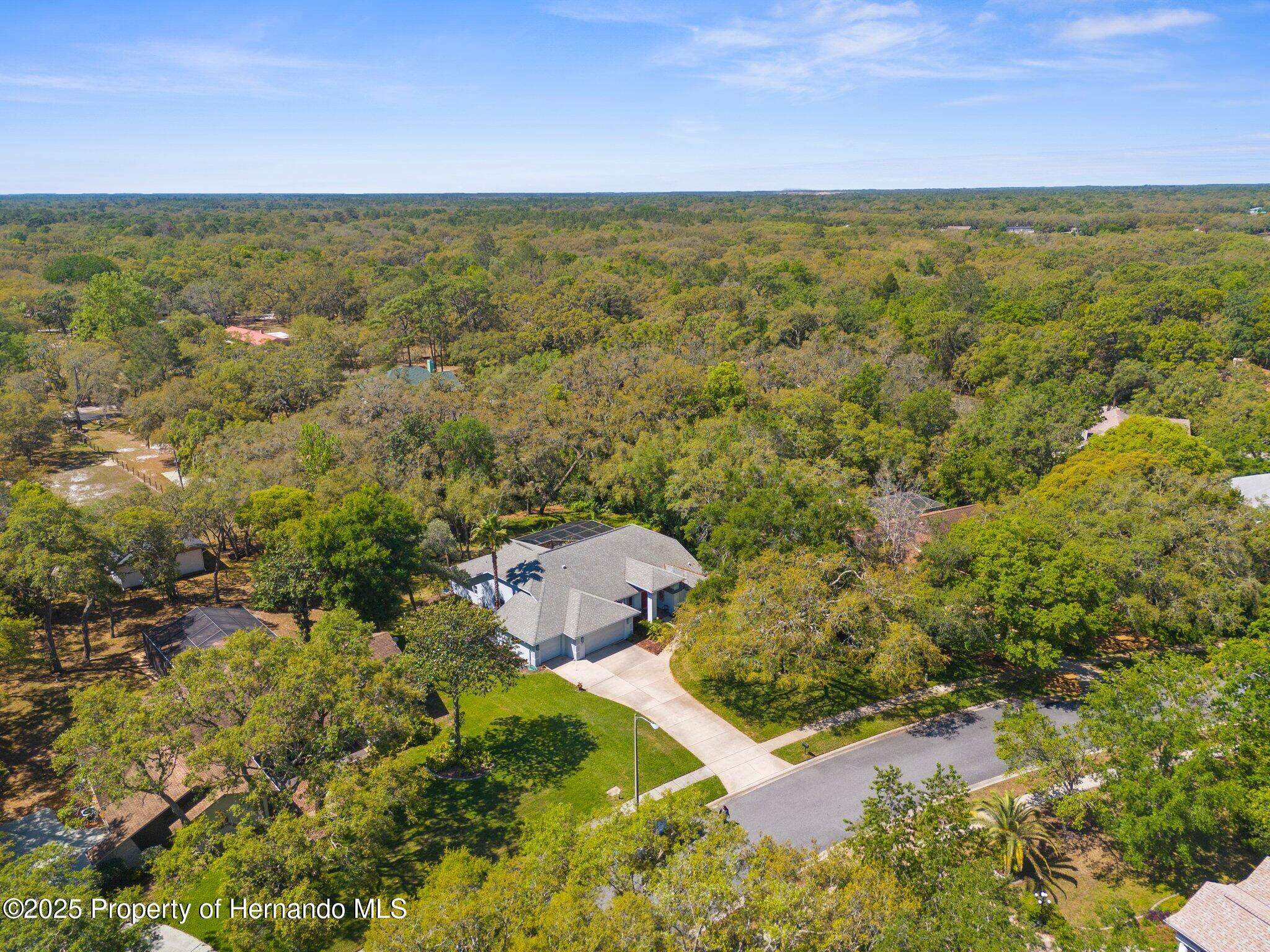18663 Autumn Lake Boulevard, Hudson, Florida image 4