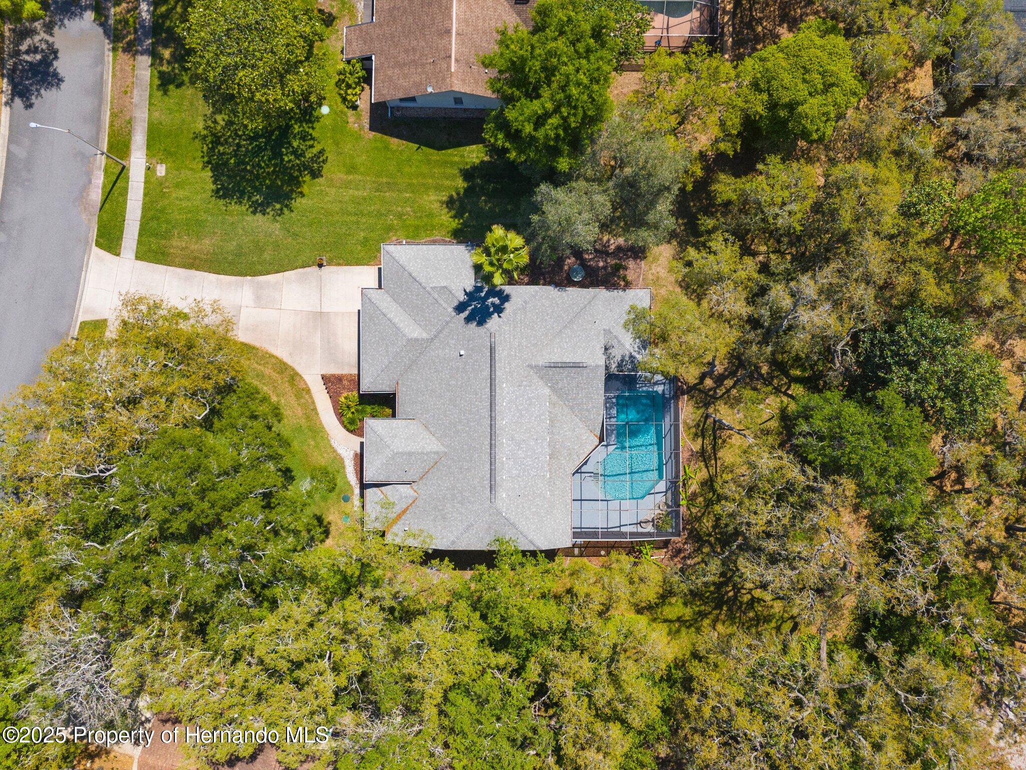 18663 Autumn Lake Boulevard, Hudson, Florida image 7