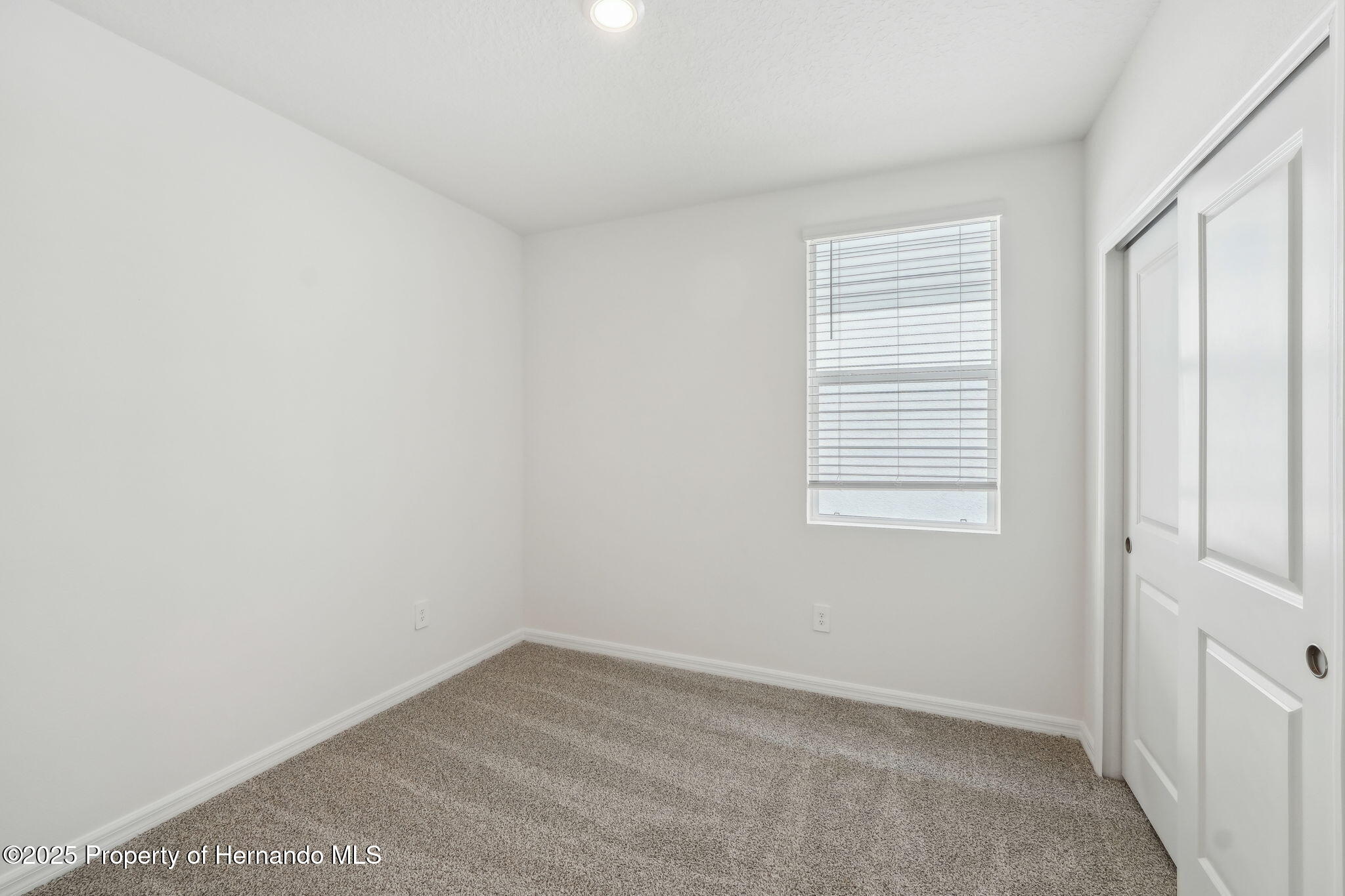 3561 Moscato Drive, Brooksville, Florida image 18