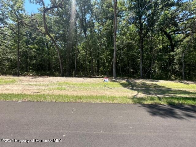 Republican (lot 11) Way, Brooksville, Florida image 11