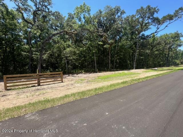 Republican (lot 11) Way, Brooksville, Florida image 13