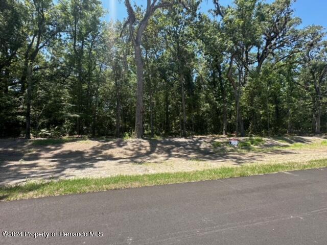 Republican (lot 11) Way, Brooksville, Florida image 17