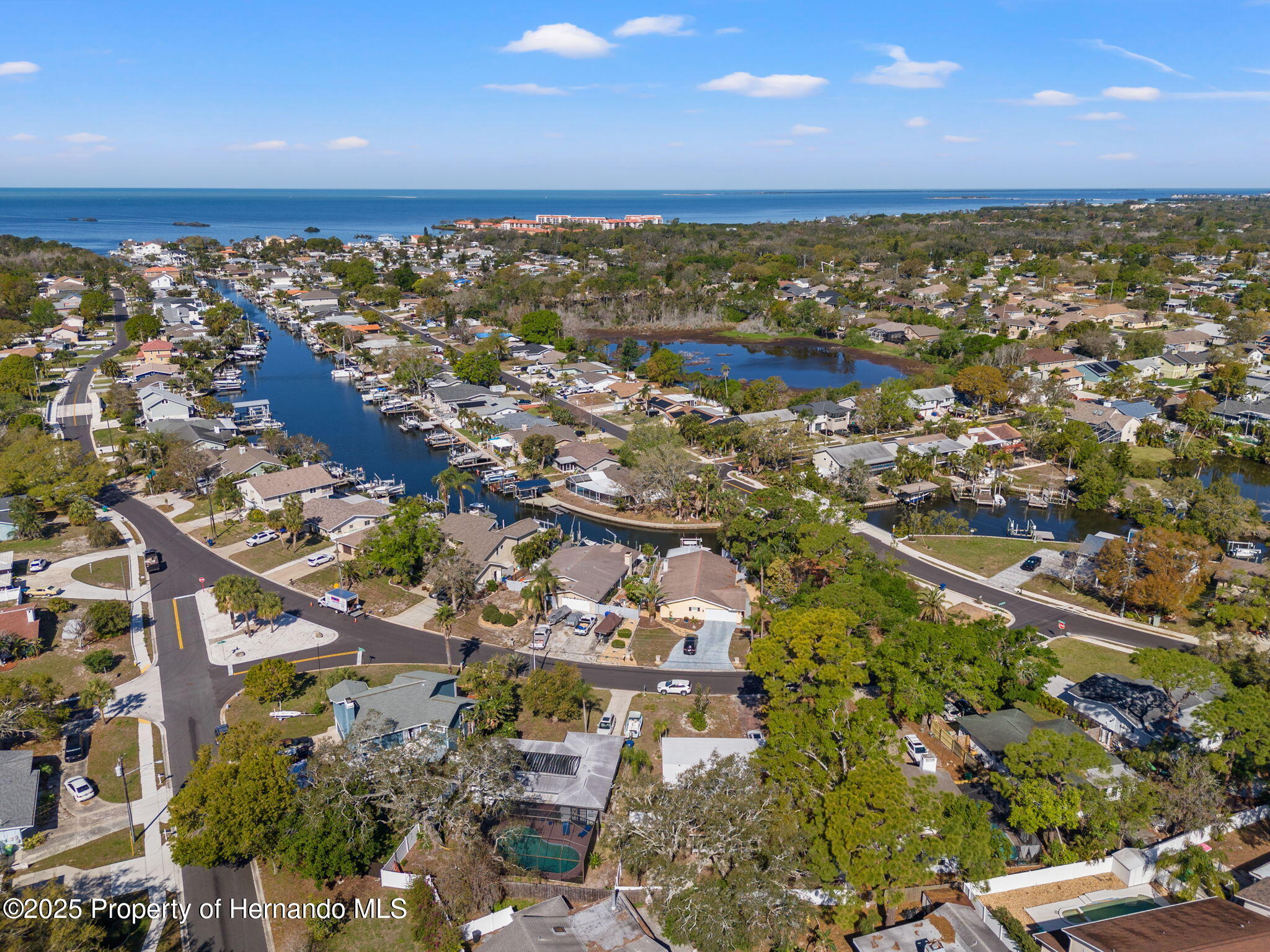 422 Crosswinds Drive, Palm Harbor, Florida image 3