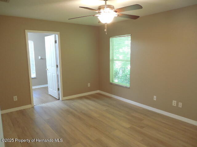 5278 Enfield Avenue, Spring Hill, Florida image 9