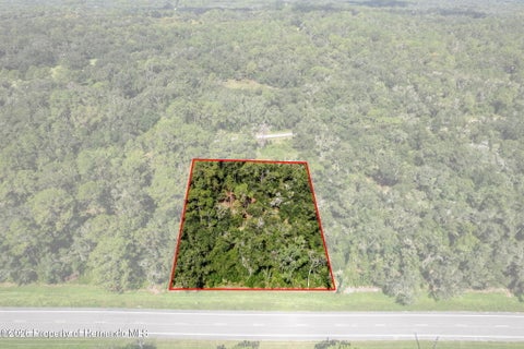 Vacant Land For Sale - Treiman Boulevard<br/> Webster, FL 33597