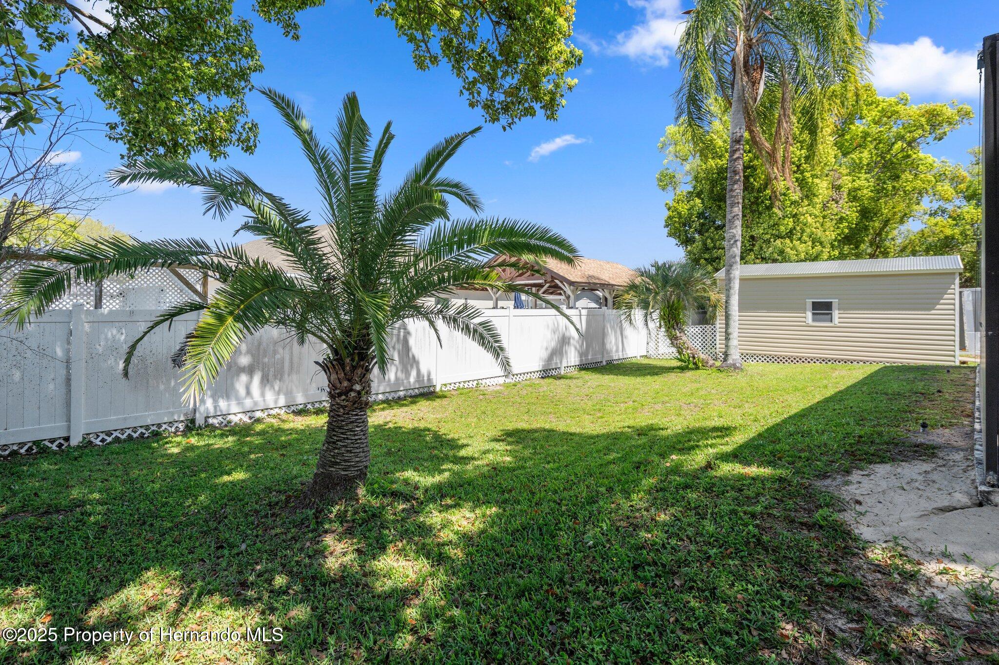 8133 Pagoda Drive, Spring Hill, Florida image 36