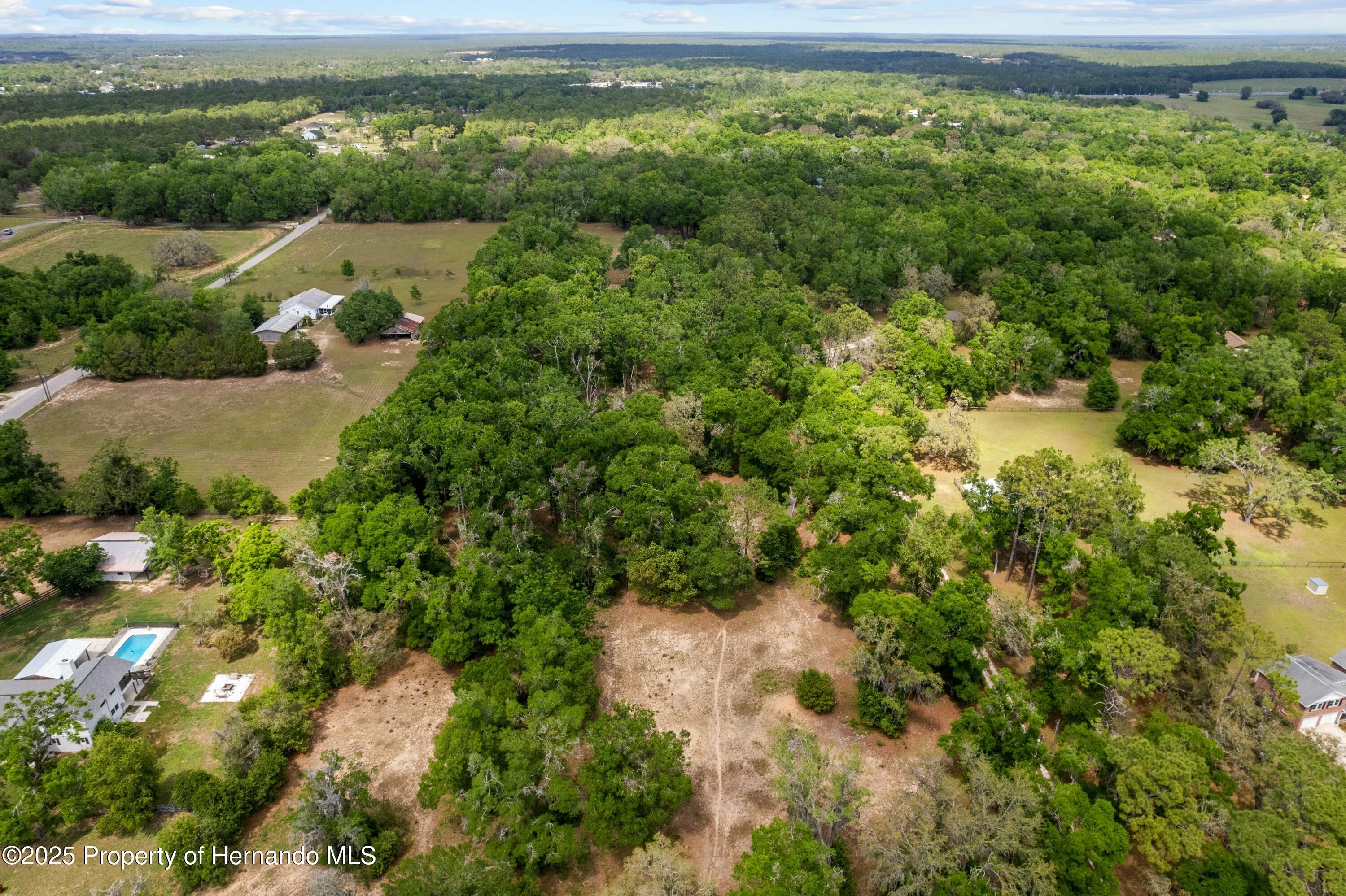 29193 Old Trilby Road, Brooksville, Florida image 7