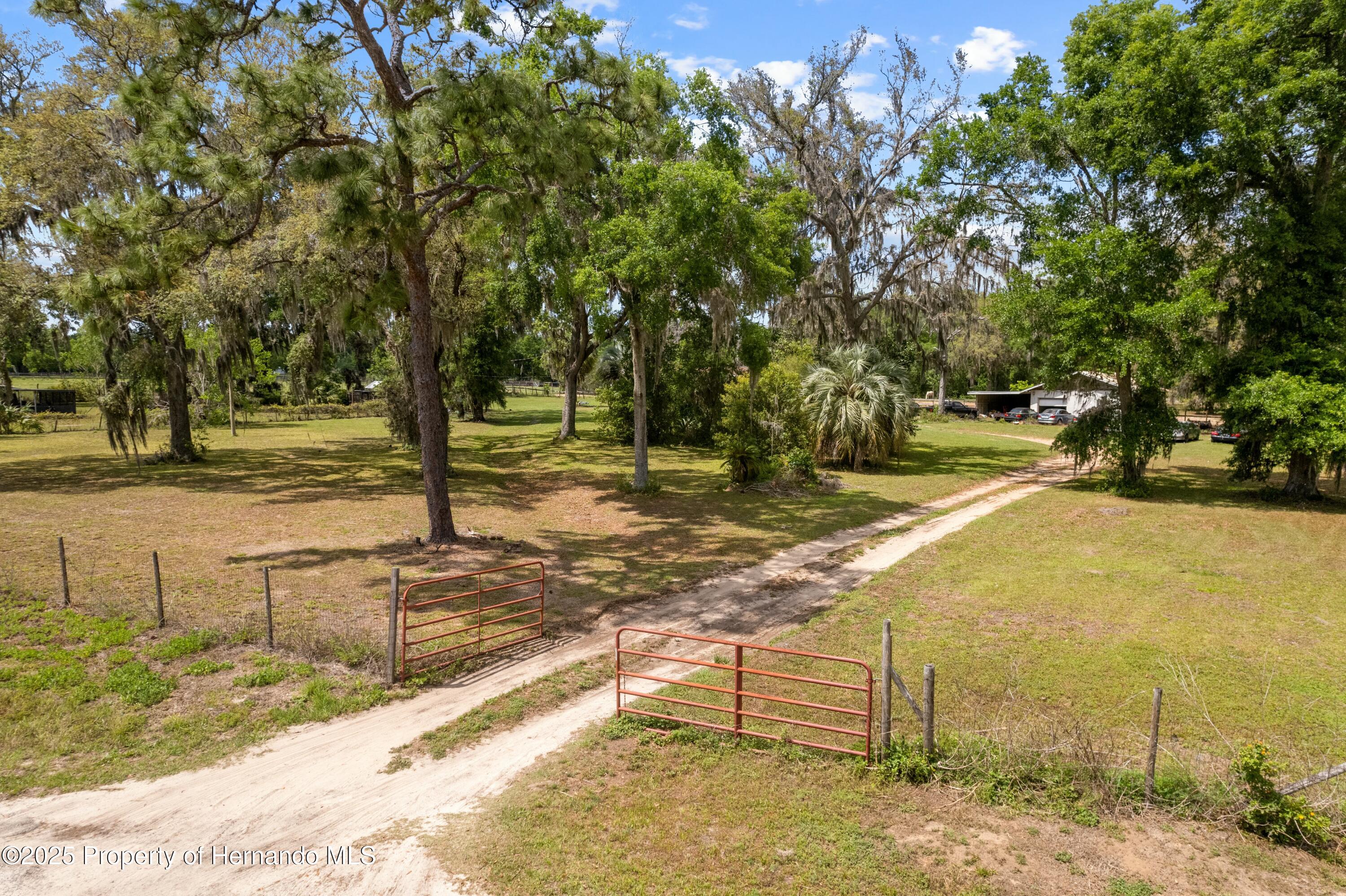 29193 Old Trilby Road, Brooksville, Florida image 10