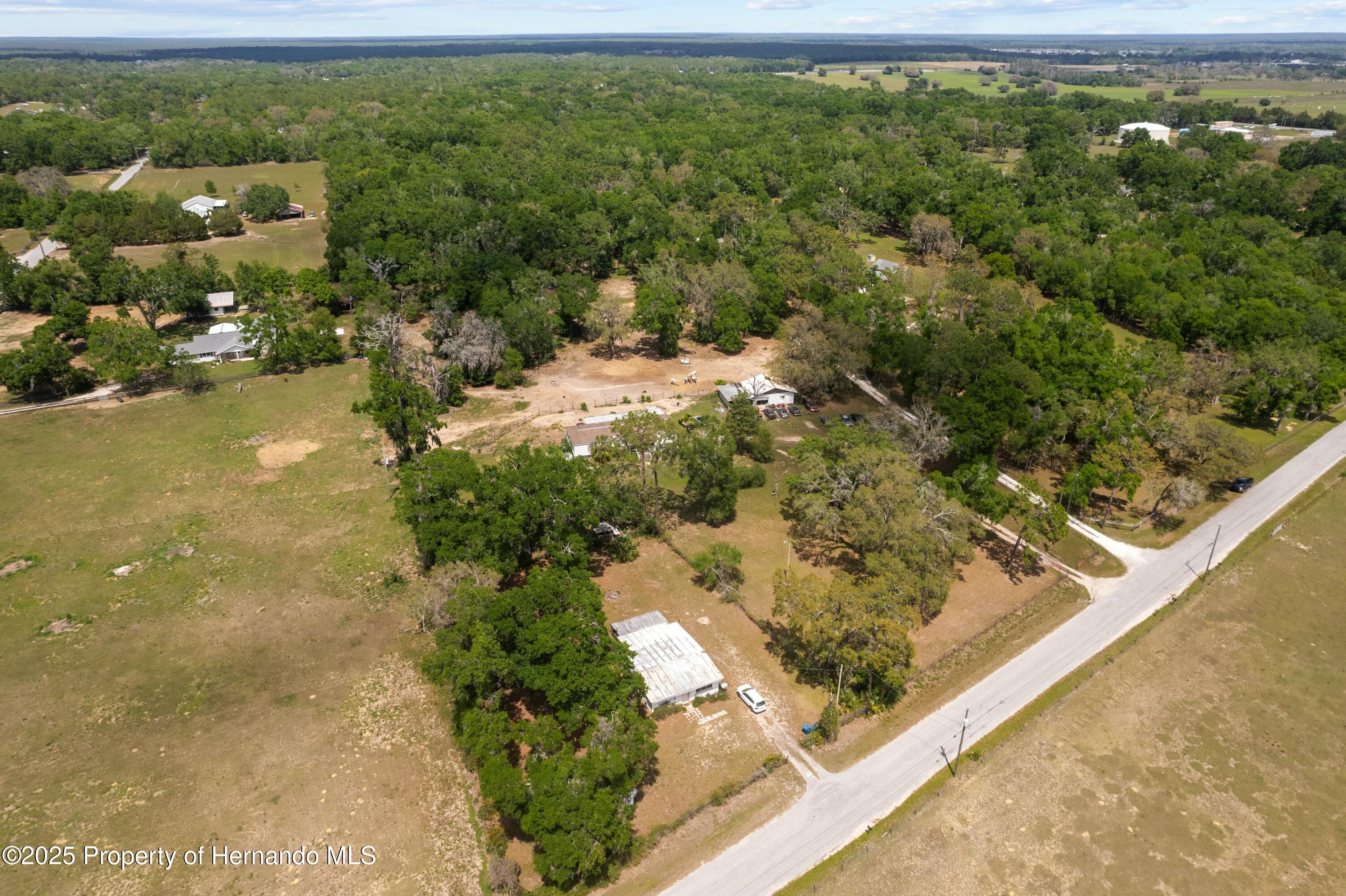 29193 Old Trilby Road, Brooksville, Florida image 1