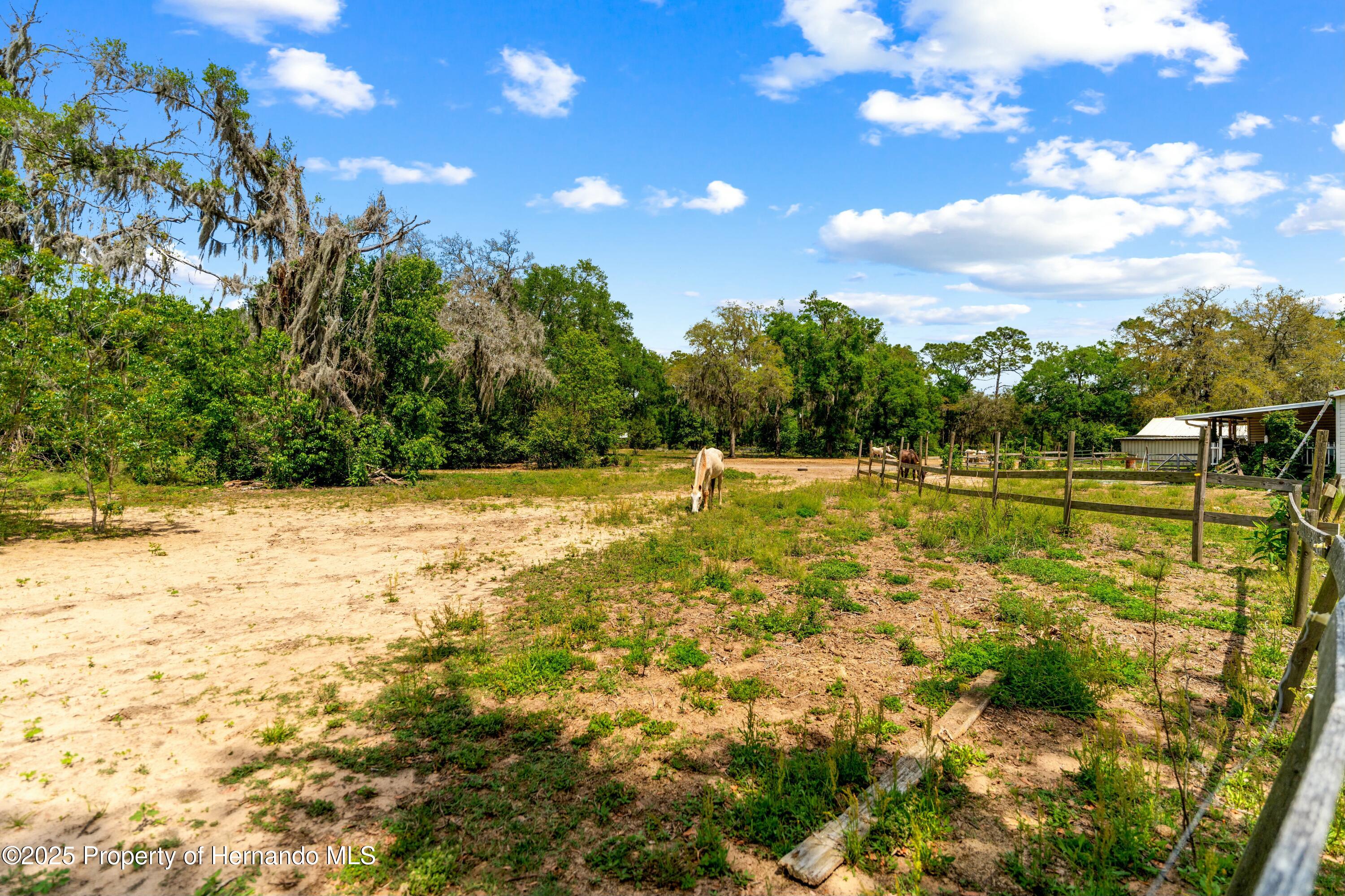 29193 Old Trilby Road, Brooksville, Florida image 48