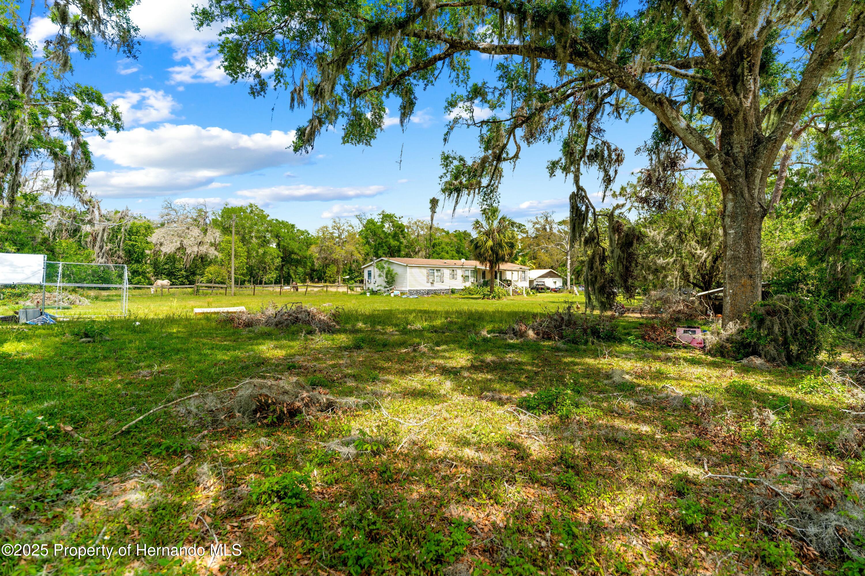 29193 Old Trilby Road, Brooksville, Florida image 49