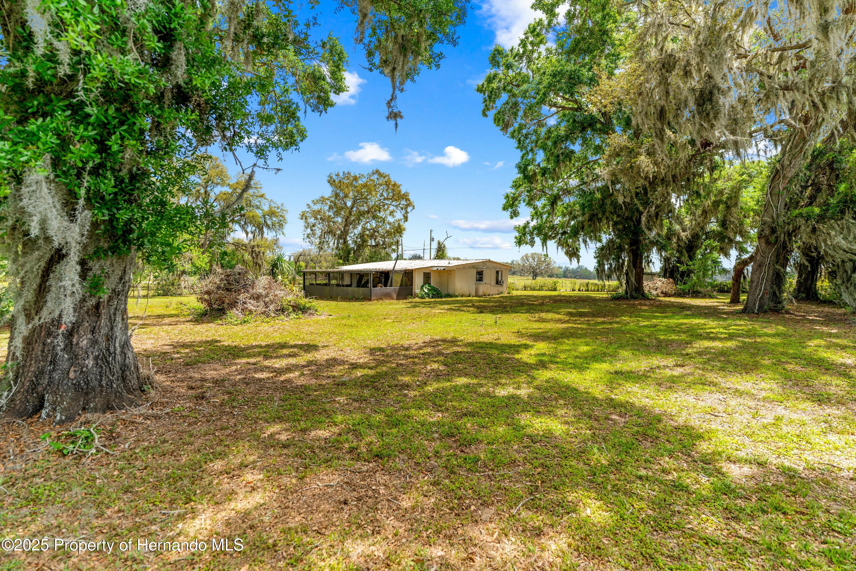 29193 Old Trilby Road, Brooksville, Florida image 38
