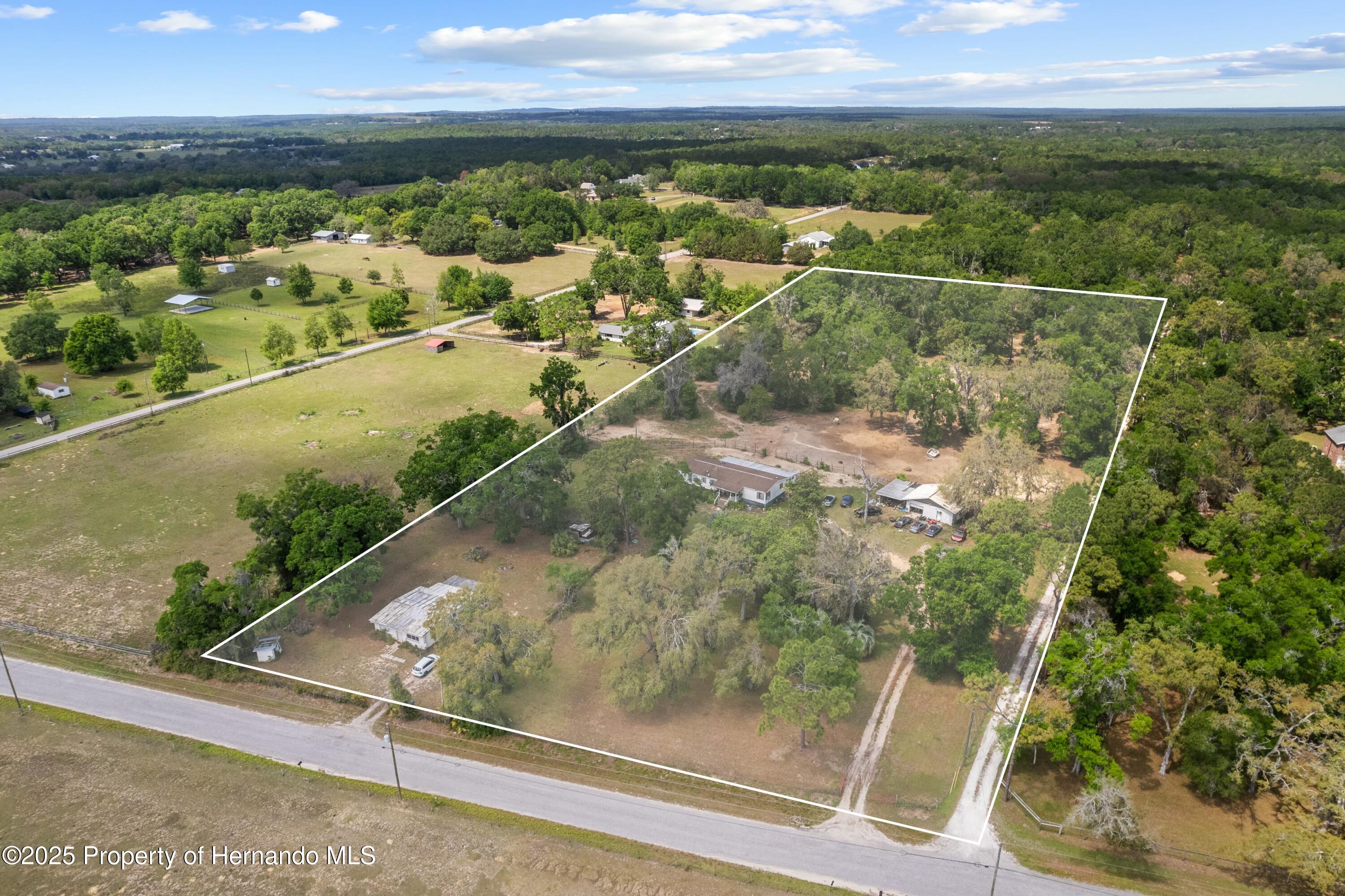 29193 Old Trilby Road, Brooksville, Florida image 3