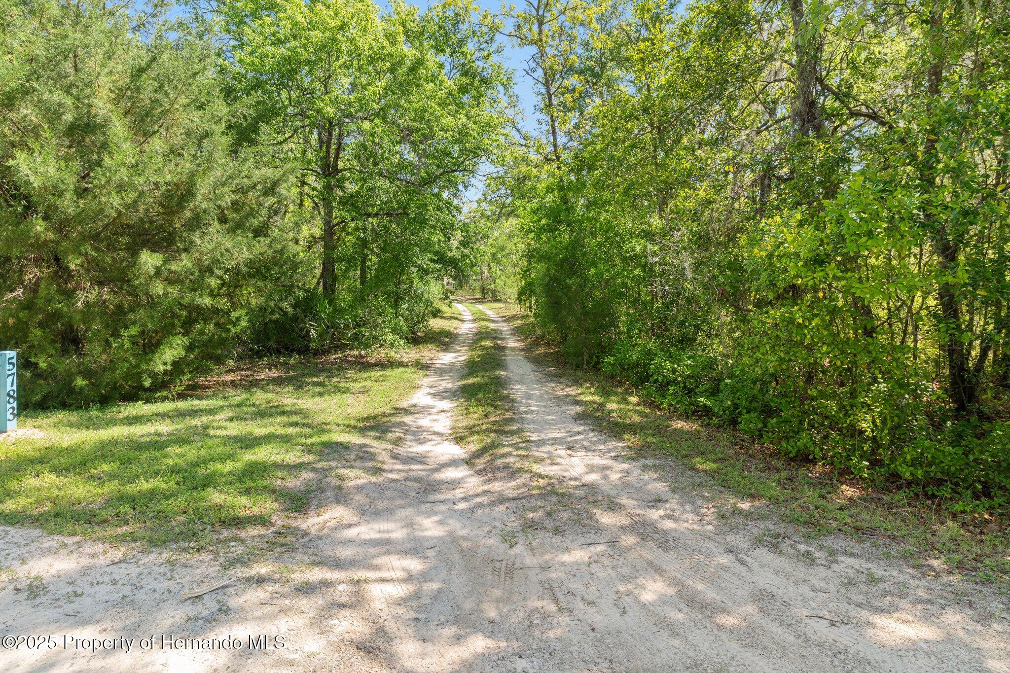 5783 S Georgian Road, Homosassa, Florida image 3