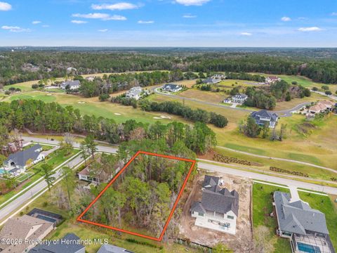 Vacant Land For Sale - 4885 Summit View Drive<br/> Brooksville, FL 34601