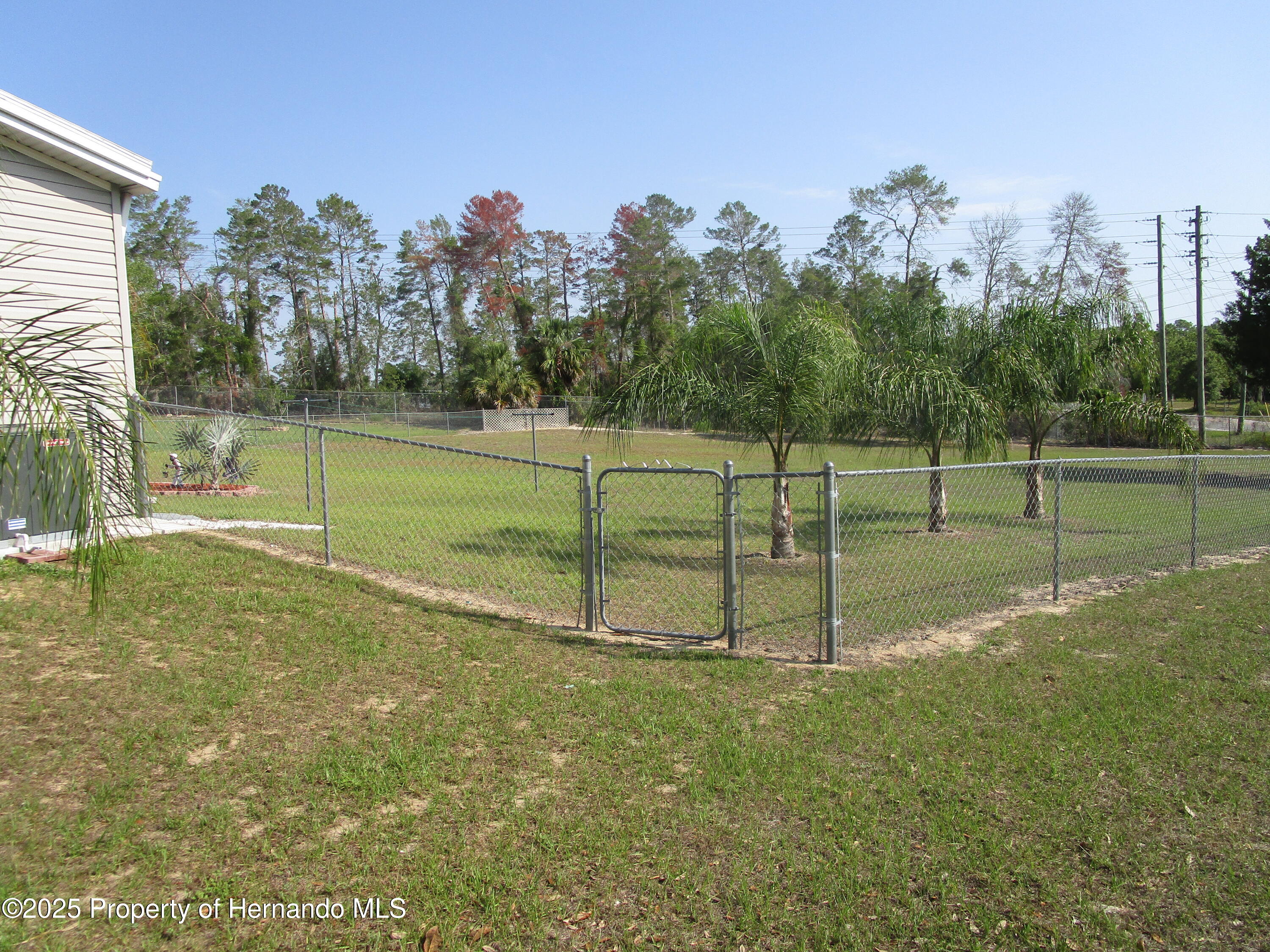 9242 Bassin Street, Brooksville, Florida image 2