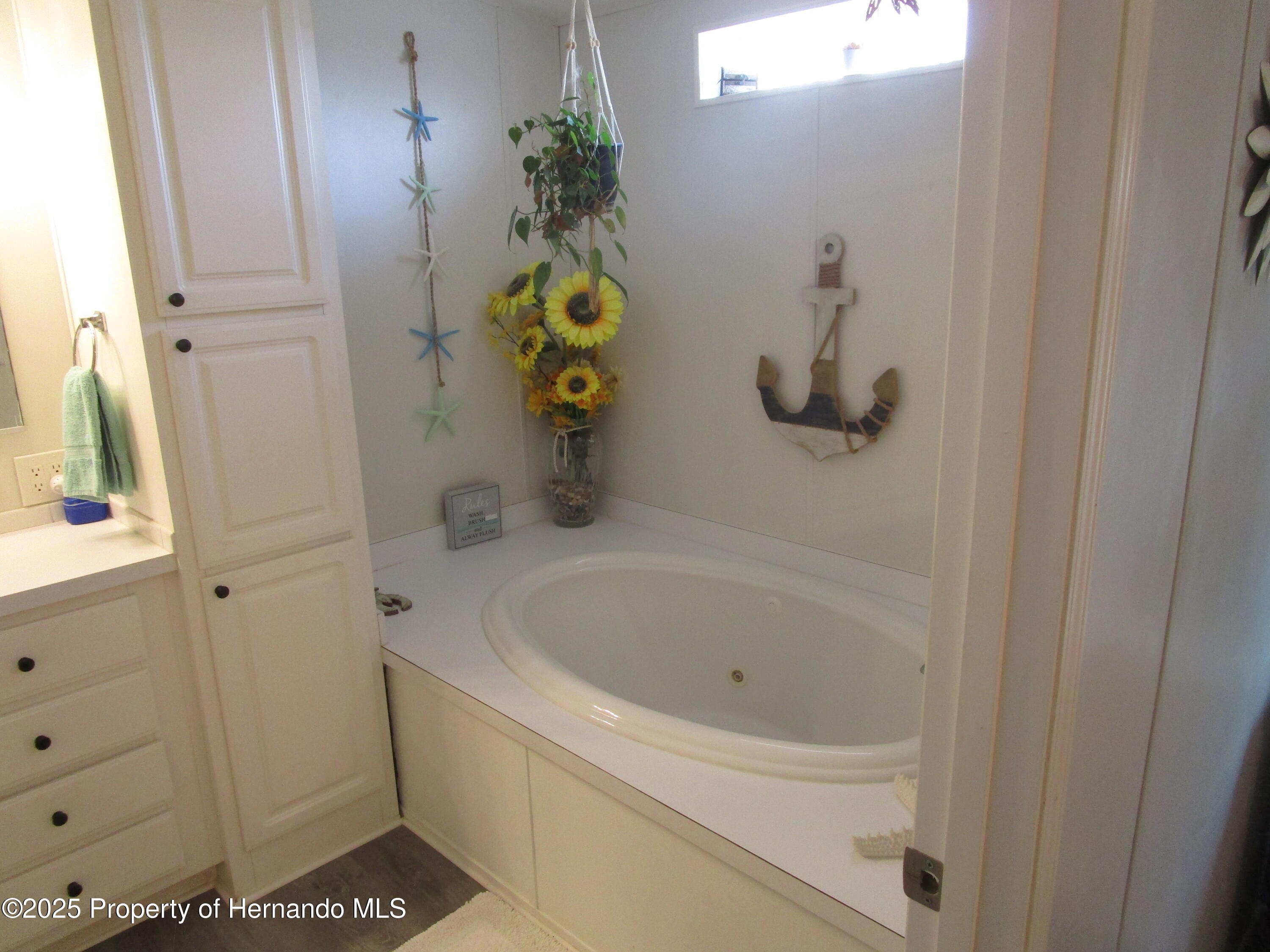 9242 Bassin Street, Brooksville, Florida image 18