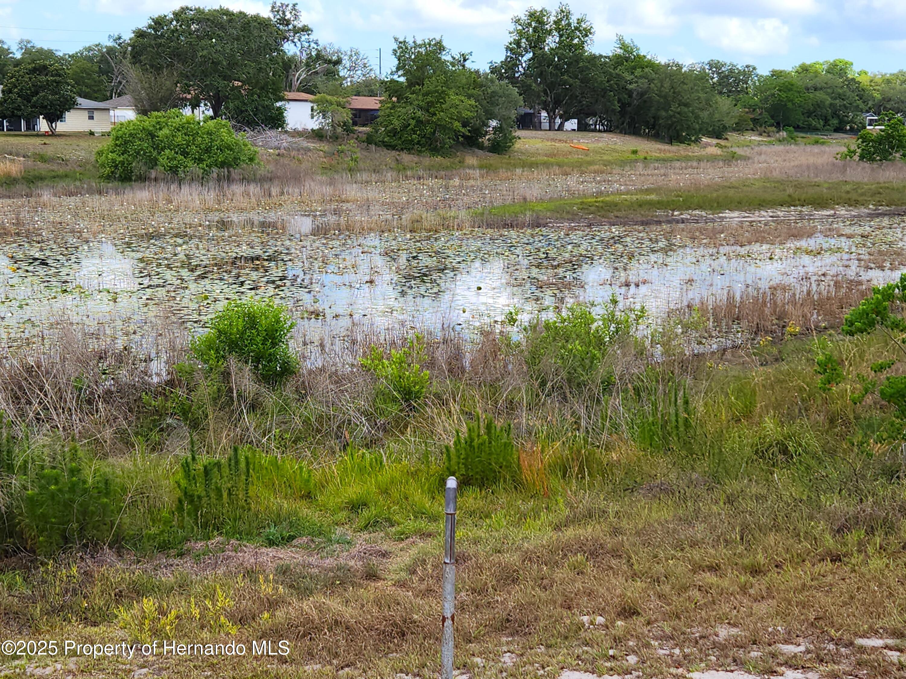273 Gulfport Lane, Spring Hill, Florida image 3
