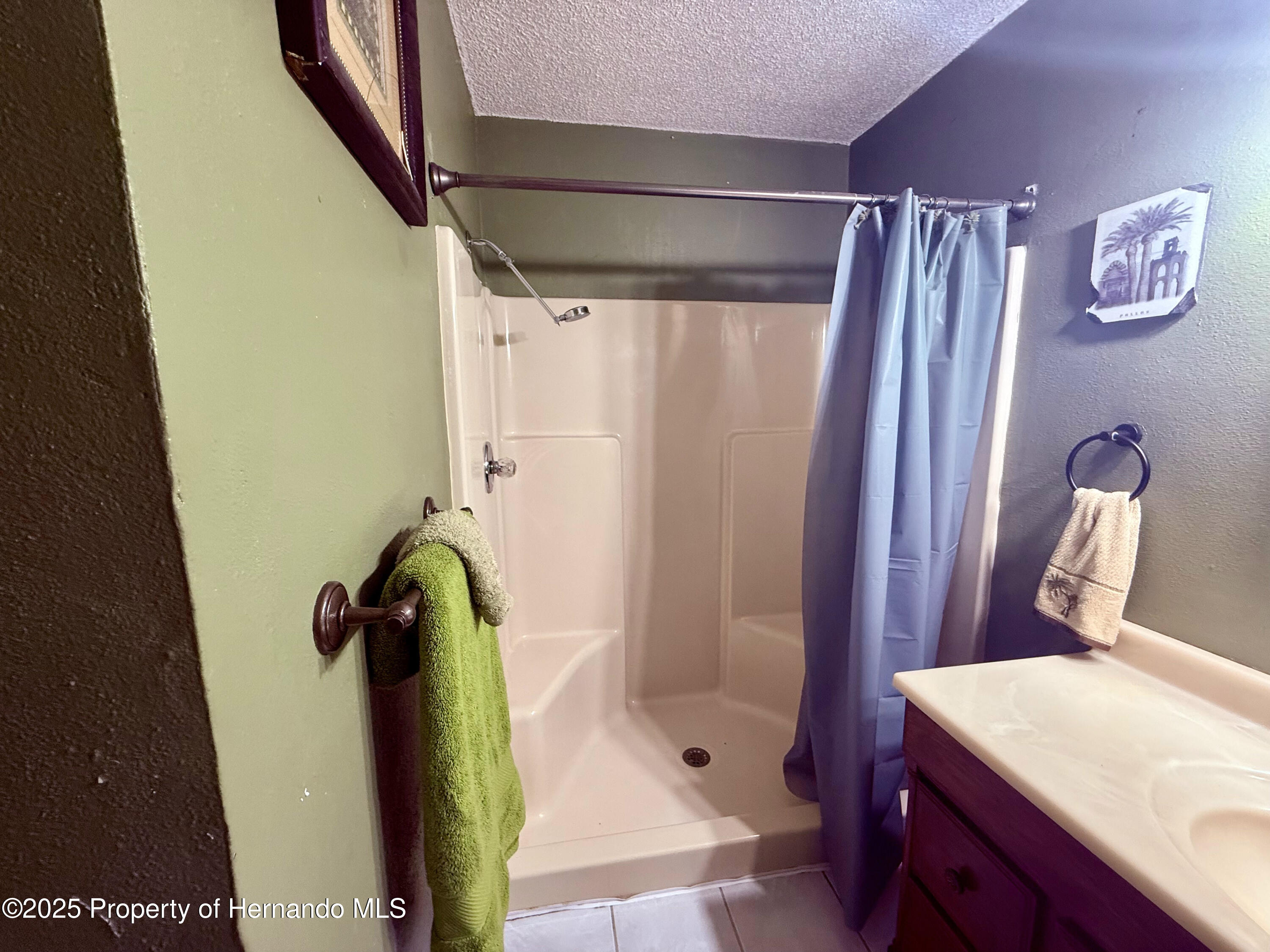 3338 Fernleaf Drive, HERNANDO BEACH, Florida image 36