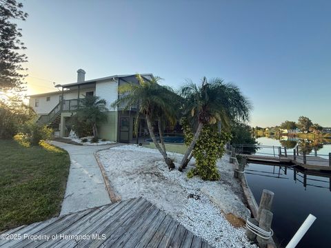 Homes For Sale - 3338 Fernleaf Drive<br/> HERNANDO BEACH, FL 34607