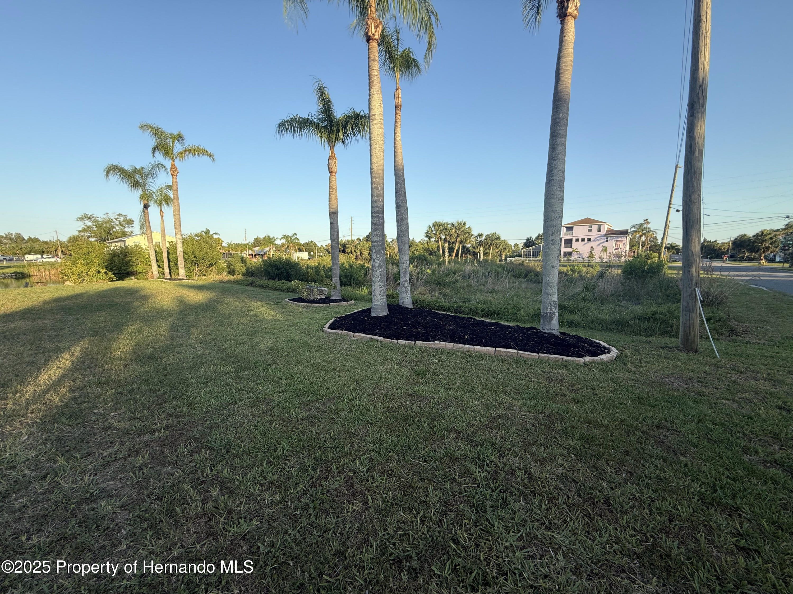 3338 Fernleaf Drive, HERNANDO BEACH, Florida image 9