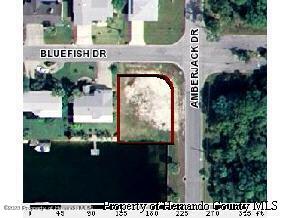 4064 Bluefish Drive, HERNANDO BEACH, Florida image 1