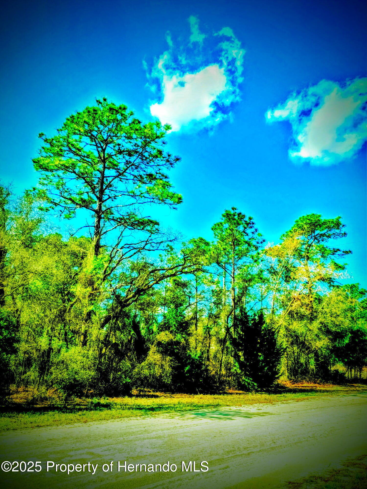 LOT 1 Robin Avenue, Weeki Wachee, Florida image 4