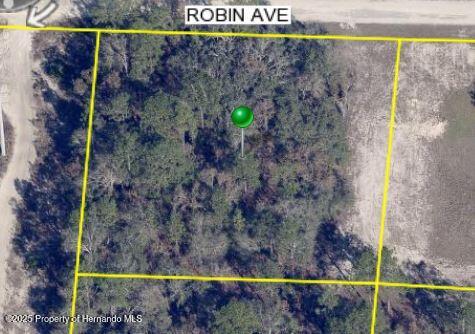 LOT 1 Robin Avenue, Weeki Wachee, Florida image 7