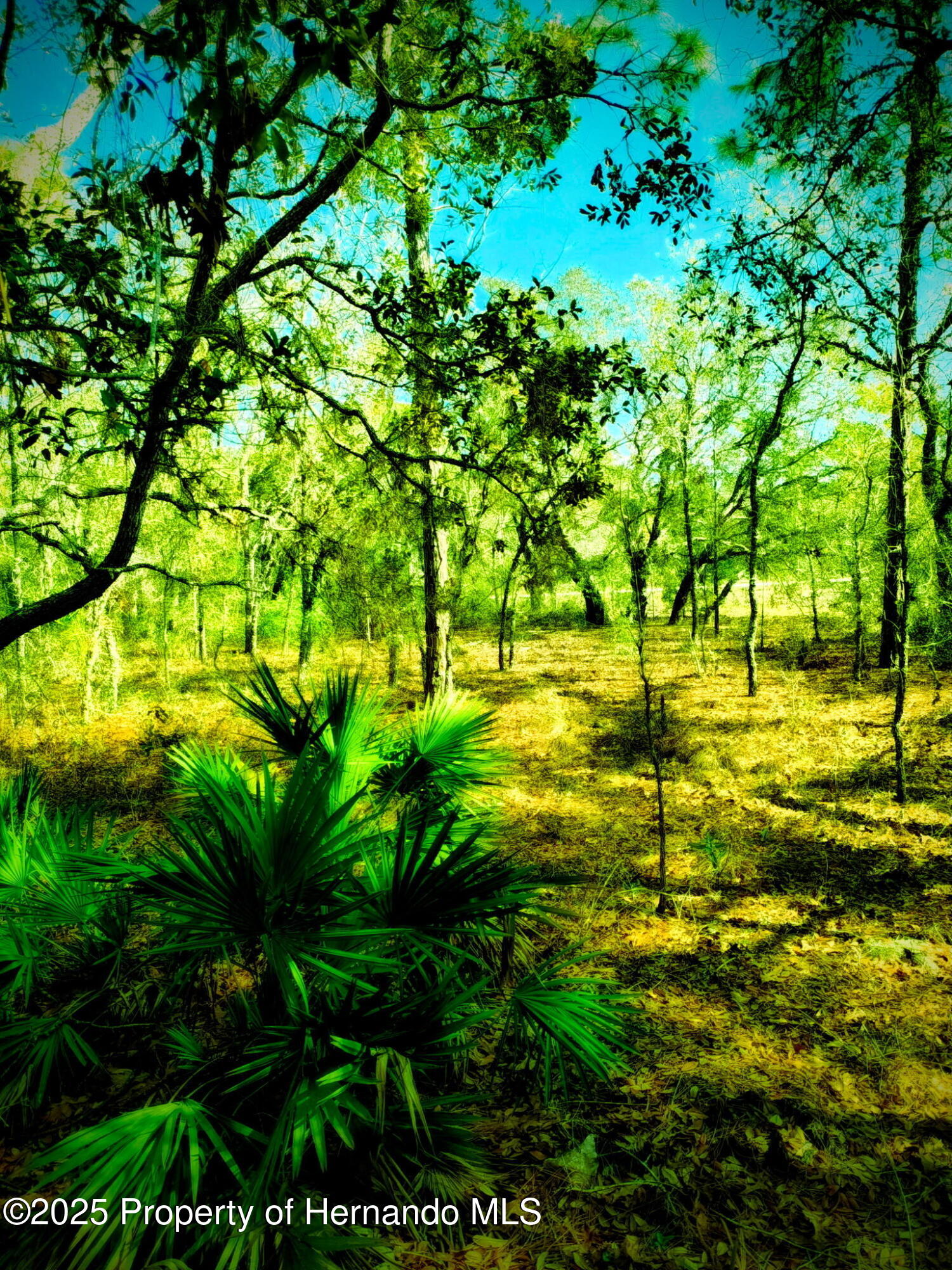 LOT 1 Robin Avenue, Weeki Wachee, Florida image 1