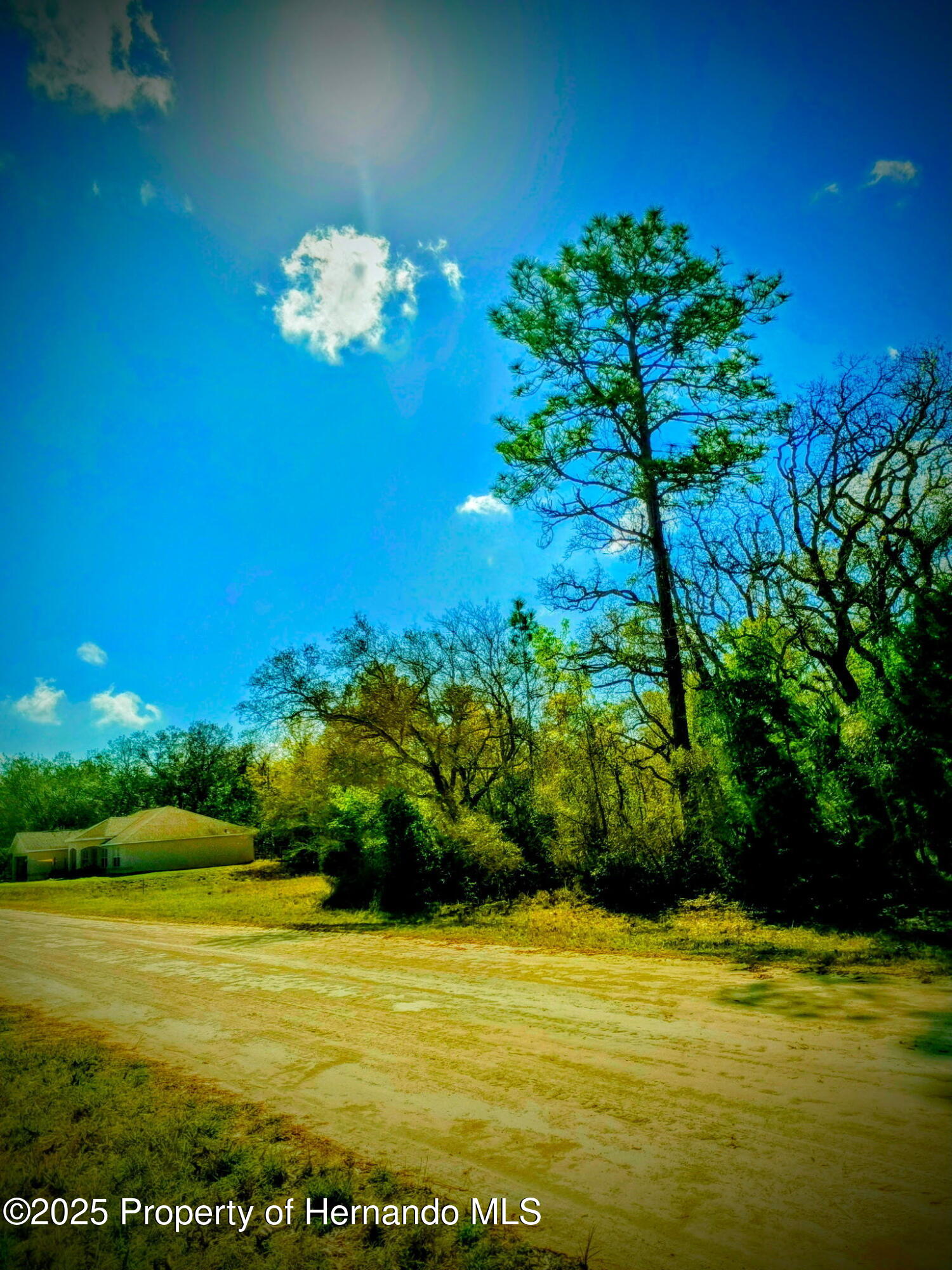 LOT 1 Robin Avenue, Weeki Wachee, Florida image 3