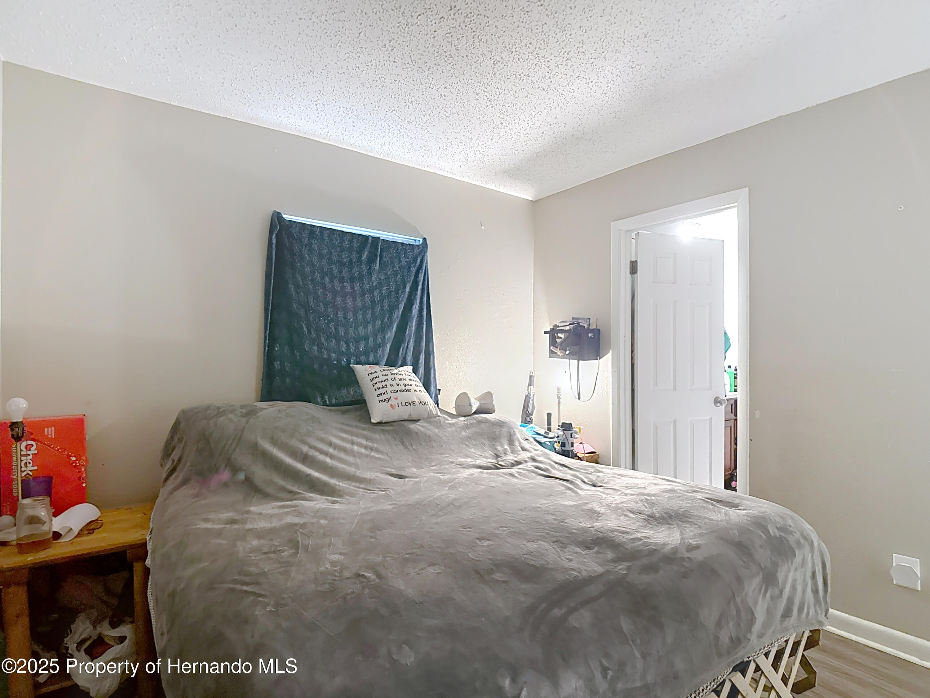 6203 Sumter Drive, Brooksville, Florida image 41
