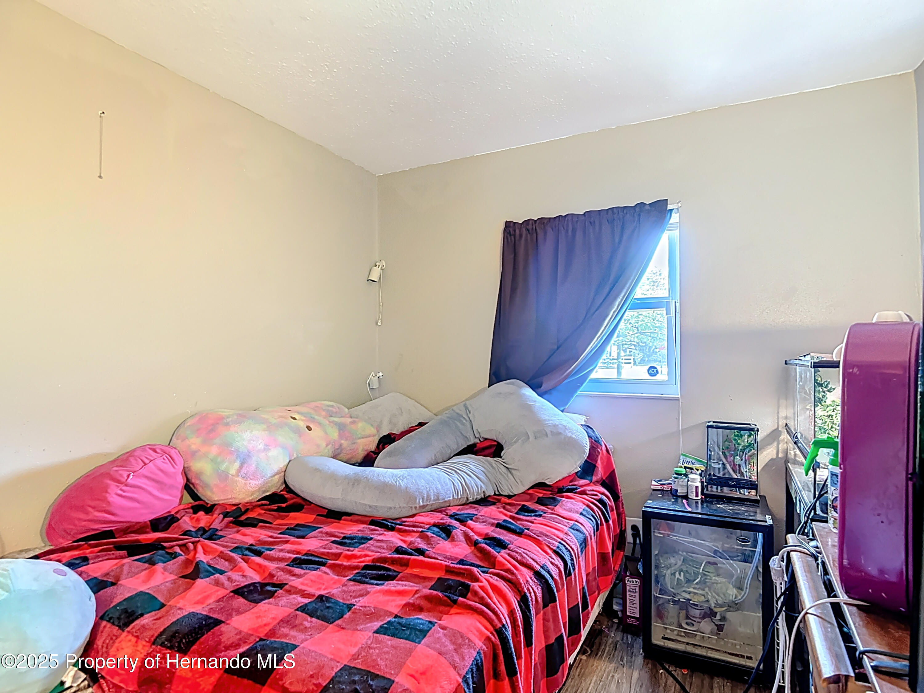 6203 Sumter Drive, Brooksville, Florida image 30