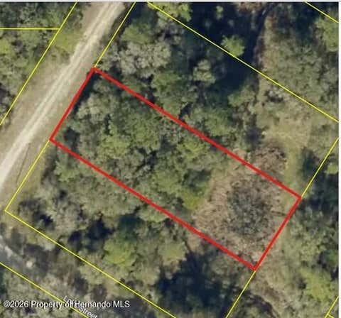 Vacant Land For Sale - Bedstone Drive<br/> Hernando County, Webster, FL 33597
