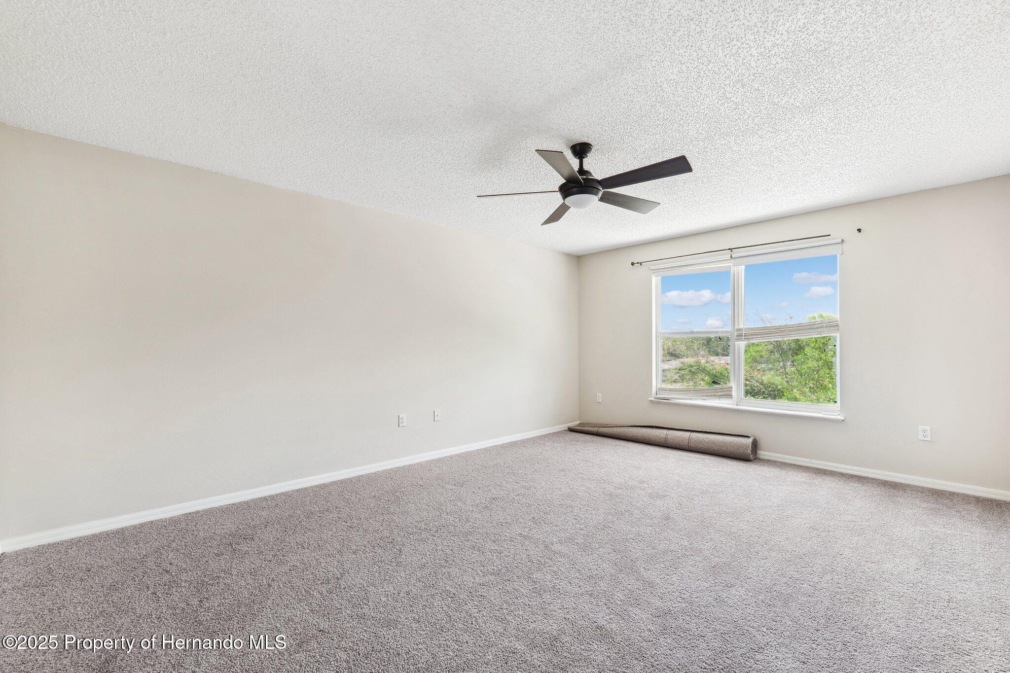 12470 Elgin Boulevard Blvd, Spring Hill, Florida image 29
