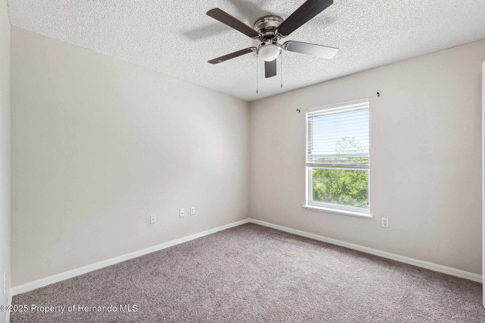 12470 Elgin Boulevard Blvd, Spring Hill, Florida image 28